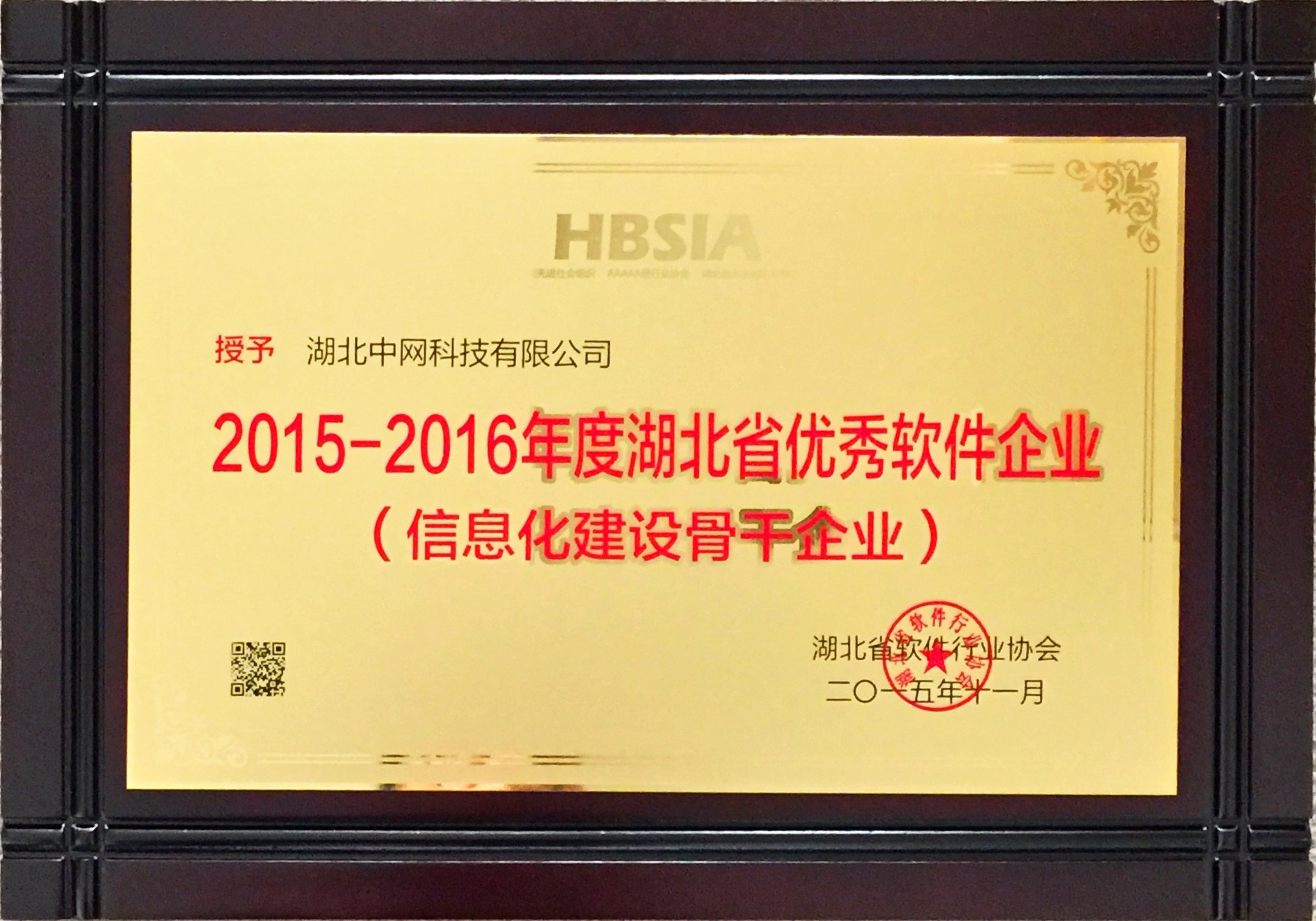 2015-2016年度優秀軟件企業.JPG