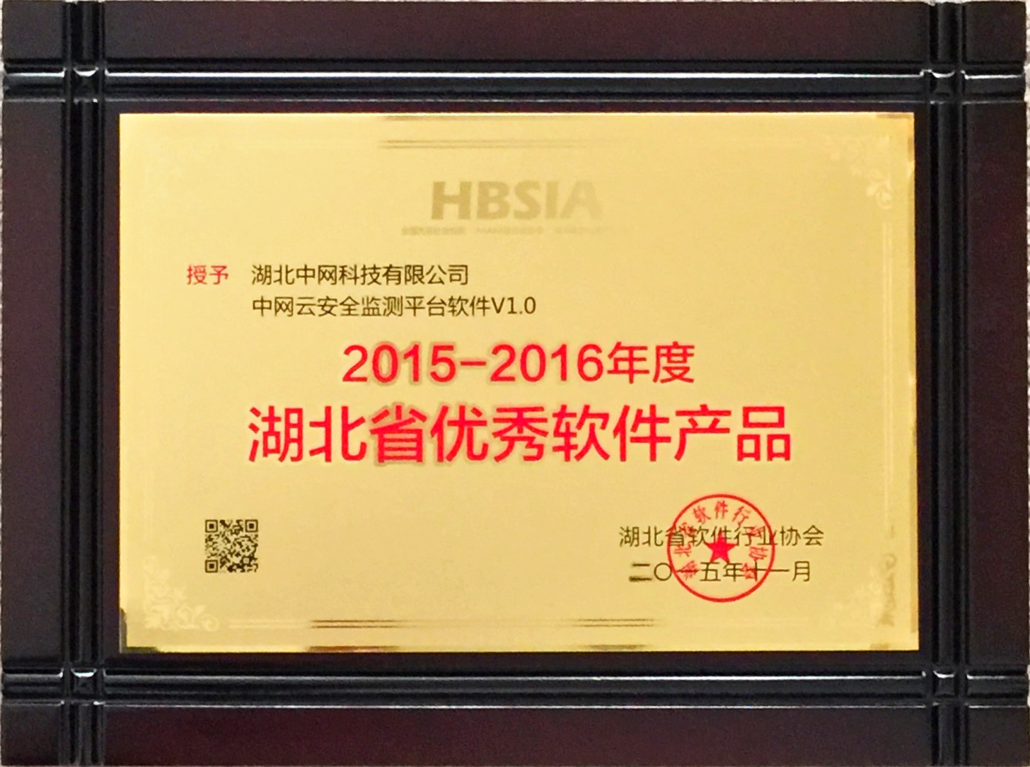 中(zhōng)網雲安全監測平台——2015-2016年度優秀軟件産品.JPG